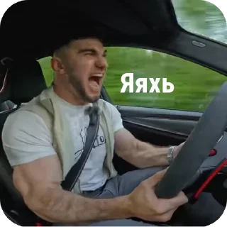 Стикер Асхаб Тамара от arab - 10