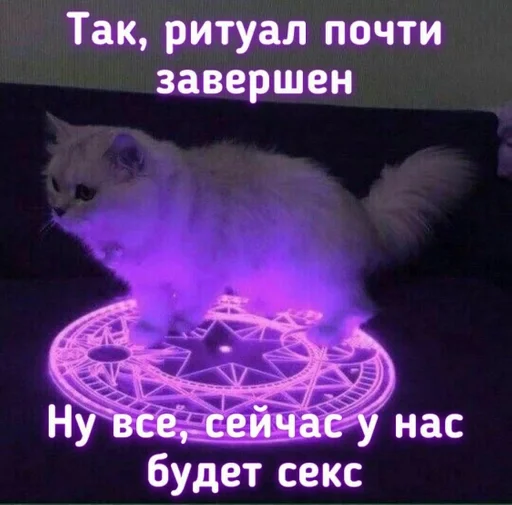 text text animal mammal