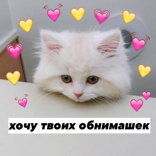 AvasVagueGams :: @fStikBot AvasVagueGams :: @fStikBot -
