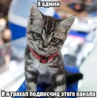 Sticker Больше стиков тут: @stikery4 - 9