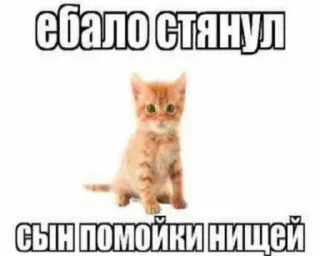 Sticker Больше стиков тут: @stikery4 - 2