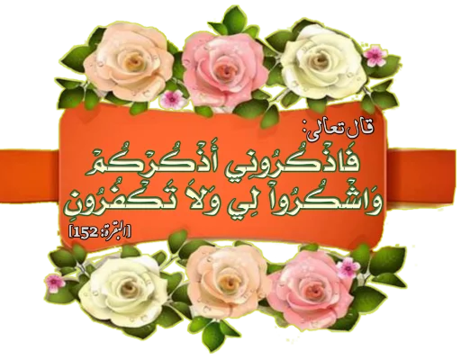قنوات رسائل اتباع السنة في زمن الغربة قنوات رسائل اتباع السنة في زمن الغربة -