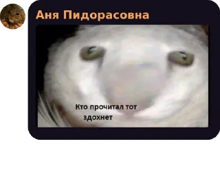 Стик by @legennn by @fStikBot Стик by @legennn by @fStikBot - мультфильм