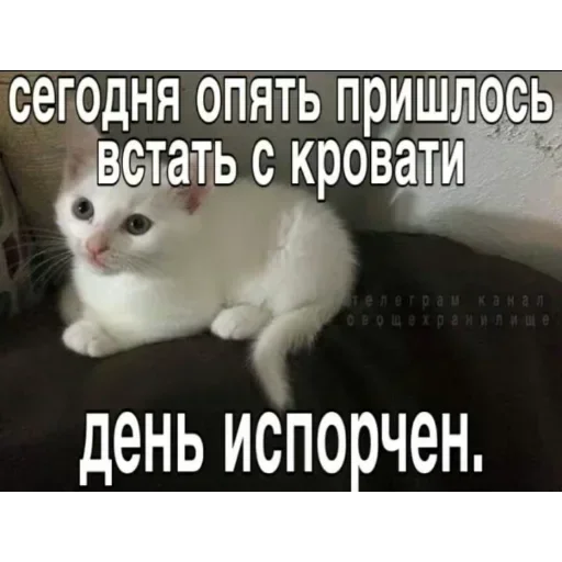 @sticksbb <— больше стиков💓💘💞 @sticksbb <— больше стиков💓💘💞 -