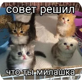 Sticker @sticksbb <— больше стиков💓💘💞 - 9 Sticker @sticksbb <— больше стиков💓💘💞 - 9