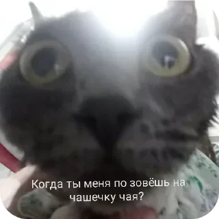 Sticker @sticksbb <— больше стиков💓💘💞 - 10 Sticker @sticksbb <— больше стиков💓💘💞 - 10