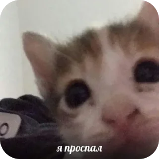 Sticker @sticksbb <— больше стиков💓💘💞 - 4 Sticker @sticksbb <— больше стиков💓💘💞 - 4