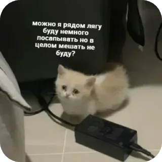 Sticker @sticksbb <— больше стиков💓💘💞 - 6 Sticker @sticksbb <— больше стиков💓💘💞 - 6