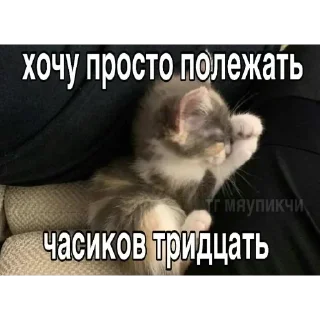 Sticker @sticksbb <— больше стиков💓💘💞 - 7 Sticker @sticksbb <— больше стиков💓💘💞 - 7