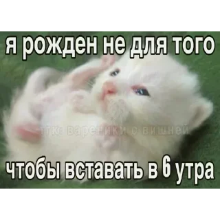 Sticker @sticksbb <— больше стиков💓💘💞 - 5 Sticker @sticksbb <— больше стиков💓💘💞 - 5