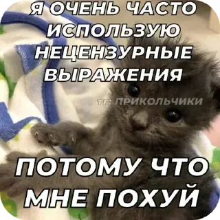 Sticker @sticksbb <— больше стиков💓💘💞 - 8 Sticker @sticksbb <— больше стиков💓💘💞 - 8