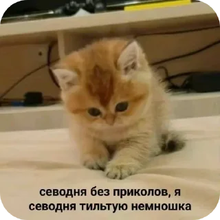 Sticker @sticksbb <— больше стиков💓💘💞 - 11 Sticker @sticksbb <— больше стиков💓💘💞 - 11