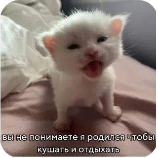 Sticker @sticksbb <— больше стиков💓💘💞 - 3 Sticker @sticksbb <— больше стиков💓💘💞 - 3