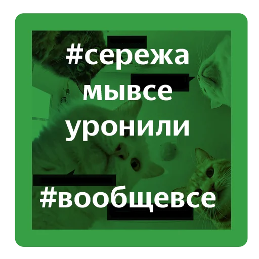 Бэк-стикеры Бэк-стикеры -