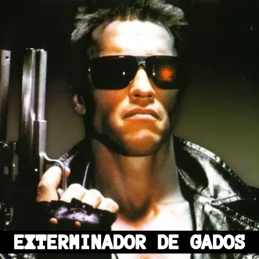 Uns bagulhos doidos @lbrabo Uns bagulhos doidos @lbrabo -