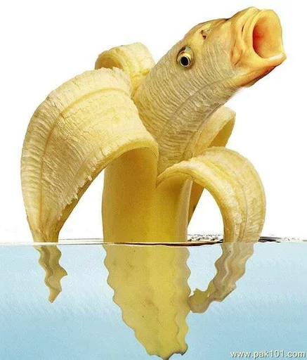 Banana fish for sam & far 😐🍌 Banana fish for sam & far 😐🍌 -
