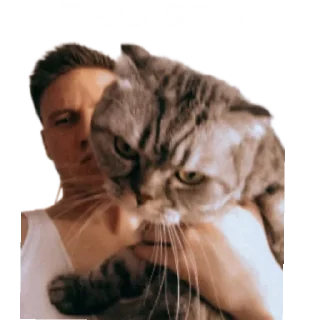 Sticker Банда - 9 Sticker Банда - 9