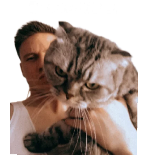 Банда Банда -