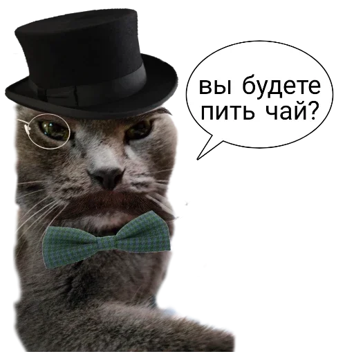 Барс Барс -