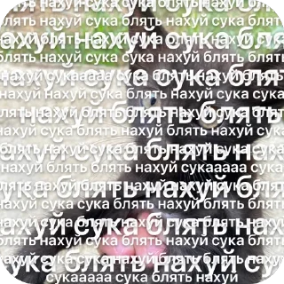 Стикер Коты - 0