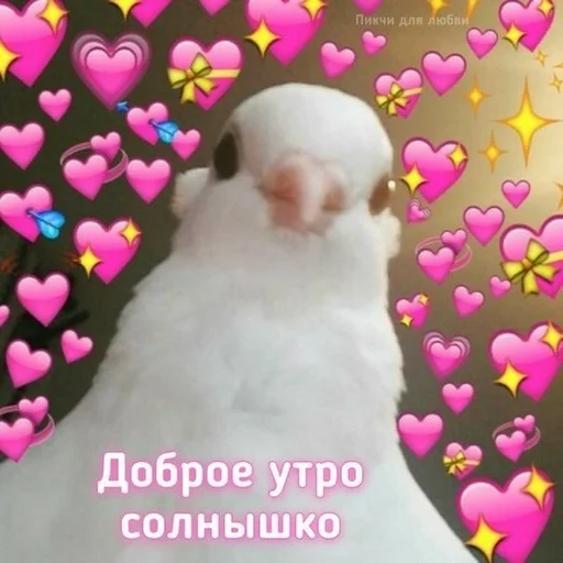 МЕМЫ НА%УЙ by @fStikBot МЕМЫ НА%УЙ by @fStikBot -