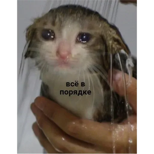 Тт Тт -