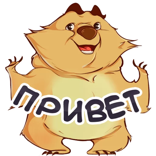 BearBob BearBob -