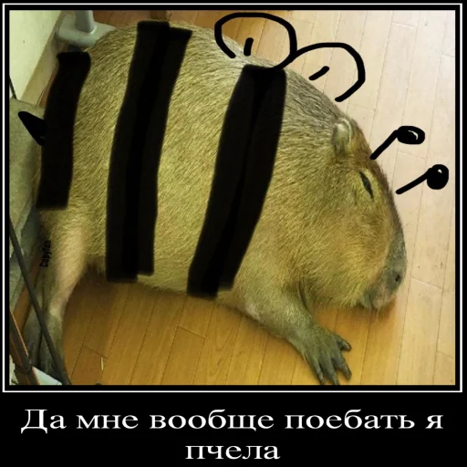 Sticker Бебряха - 9 Sticker Бебряха - 9