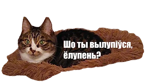 Беларускамоўныя коцікі Беларускамоўныя коцікі -