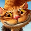 belikoff belikoff -