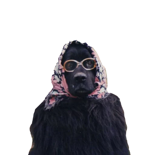 Друзья Бени Друзья Бени -