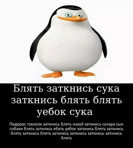 СМС водная птица пингвин