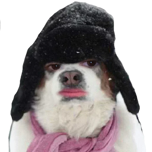 БестОф БестОф -