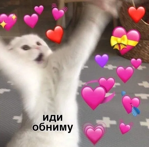 Всё что нужно😎 :: @fStikBot Всё что нужно😎 :: @fStikBot -