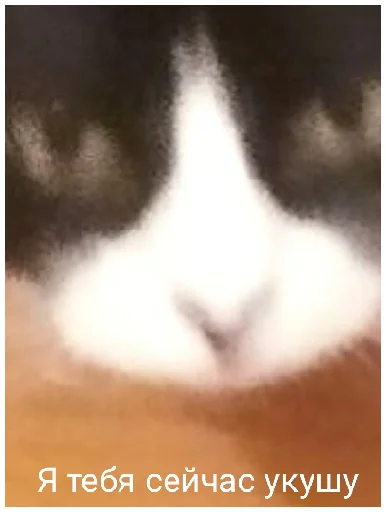 Бэтат Бэтат -