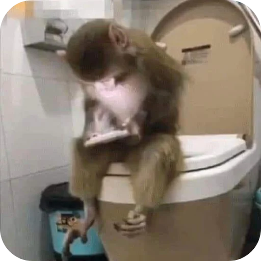 Бибизянычичичи Бибизянычичичи -