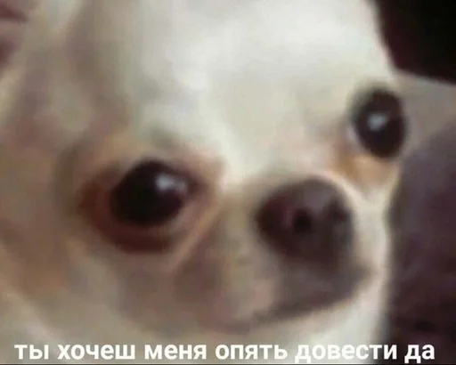 Бичс :: @fStikBot Бичс :: @fStikBot -