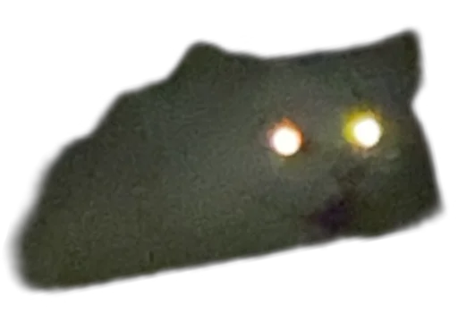 Moipridyrki Moipridyrki -