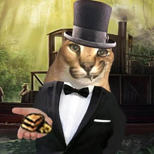 cat cat fashion accessory cartoon