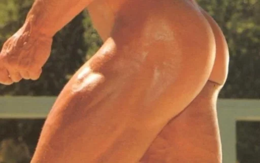 мышца Человек грудь