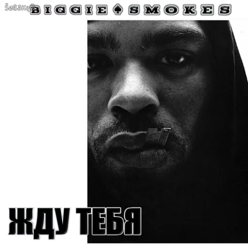 BiggieSmChat_st BiggieSmChat_st -