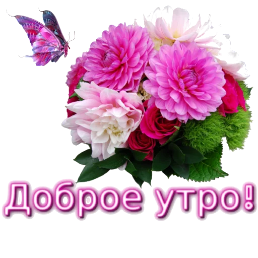Sticker Biosea Диана Мансурова - 10 Sticker Biosea Диана Мансурова - 10