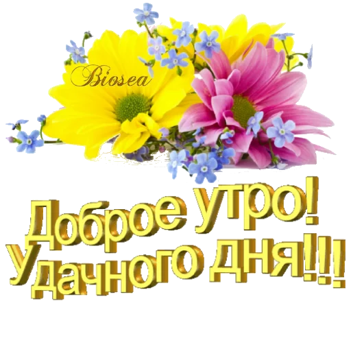 Sticker Biosea Диана Мансурова - 9 Sticker Biosea Диана Мансурова - 9