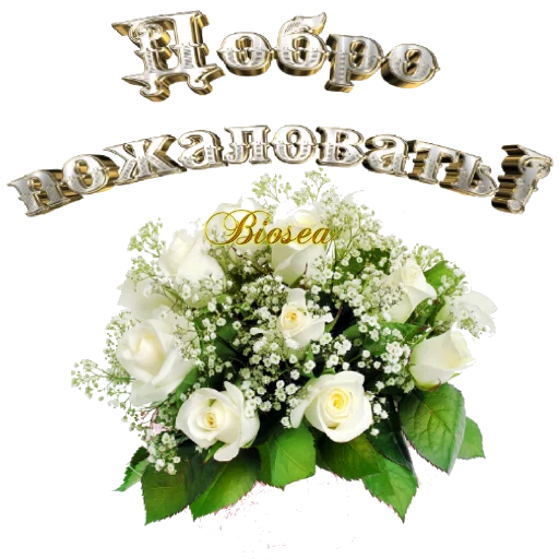 Sticker Biosea Диана Мансурова - 6 Sticker Biosea Диана Мансурова - 6