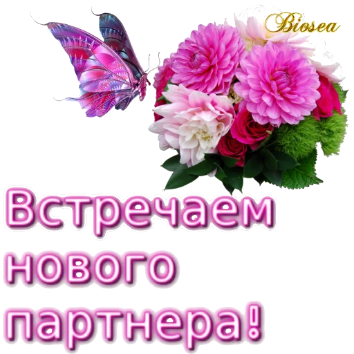 Biosea Диана Мансурова Biosea Диана Мансурова -