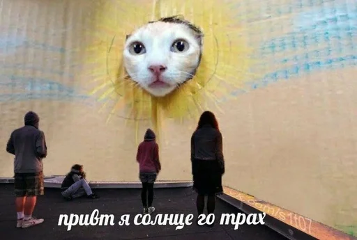 КРУТЫШКА :: @fStikBot КРУТЫШКА :: @fStikBot -