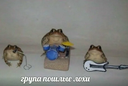bird bird toy animal
