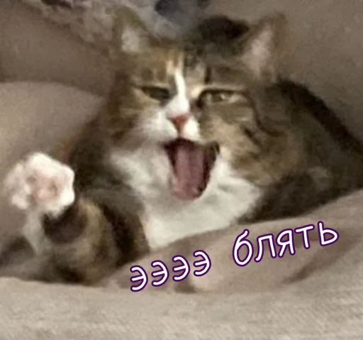 Тю блин: Зверюшки by @blin1001 Тю блин: Зверюшки by @blin1001 -