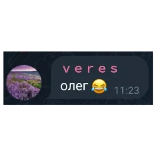 Sticker Блять, Олег (мегахорош) - 9 Sticker Блять, Олег (мегахорош) - 9