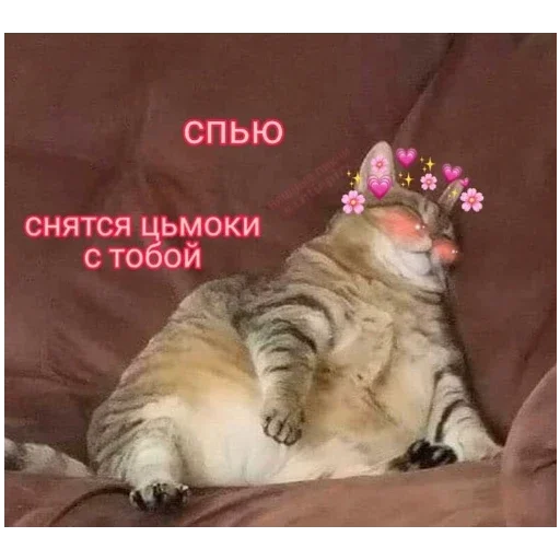 больше стикеров тут: @stikeryy7 больше стикеров тут: @stikeryy7 -